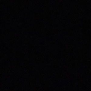 Meet your Posher, Judy